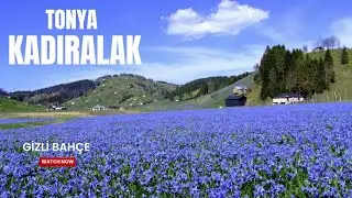 Doğa İçin Vakittir | Saklı Bahçeden Görüntüler #kadıralak Yaylası