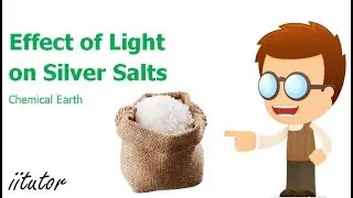 &radic; What is Effect of Light on Silver Salts? | Chemical Earth