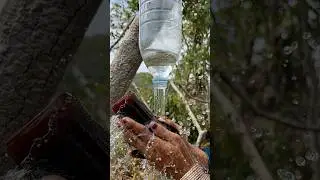 Survival Skills: Mom shows how to make soap and water in the wilderness 100% #Survival
