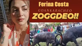 Goankaracheo ZOGGDEO! by Ferina Costa 