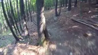 Graz Kalkleiten, Süßkartoffeltrail