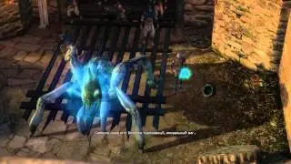 The Witcher (2007) - ретро тест GPU