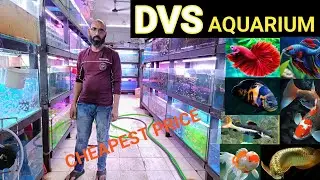 Dvs Aquarium Fish Shop| Kurla fish market | Mumbai aquarium fish market | Mumbai aquarium fish