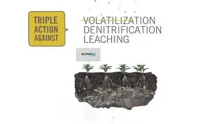 superu&reg; fertilizer product information - Kleurenbeeld