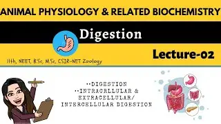 L-2 Digestion - Intracellular & Extracellular/Intercellular Digestion|Animal physiology| M.Sc B.Sc
