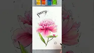 How to Draw a Peony Flower 🌸😊 | Tutorial for Watercolor Sketching Beginners #drawingtutorial
