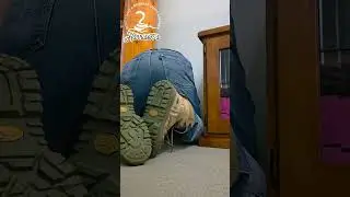 Чернобрюхая змея в Бодезерте