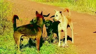 Happy to meeting sweet life good Action bout news friend super Angry team ker