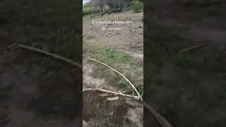 Chuva mês de agosto