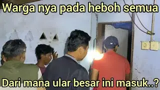 KAMI GAK ADA YANG BERAN1 MALAM-MALAM WARGA DI HEBOHKAN KEMUNCULAN ULAR BESAR MASUK KE DALAM RUMAH