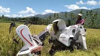 Mesin Pemotong Padi Mini Quick QH-11