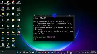 ST20 Remote Access Data and System