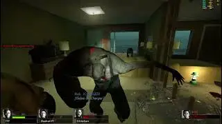 4 VS 2 ORALE VA