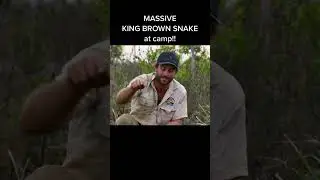 NO THANKS! Dangerous 4WD adventure in REMOTE Australia💀#australia #snake#wildlife #northernterritory
