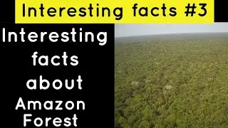 Most Interesting Amazon Facts & Secrets | Tamil | 2019