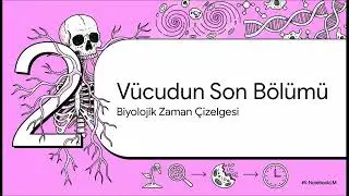 Ölümün Doğası ve Bilinç Araştırmaları