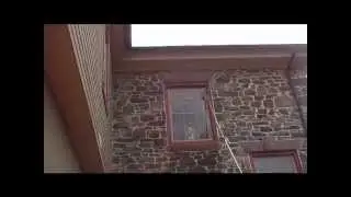 wagtail Jetstream on penny's by splash window cleaning