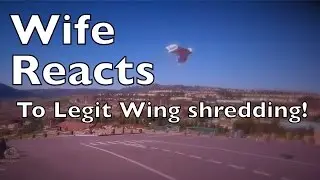 Andrea reacts to the Legit Wing shredding!!