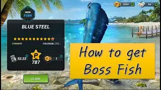 Fishing Clash - How to get boss fish