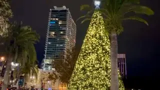 Festive Night at Lake Eola | Orlando Winter 🌴🎄 