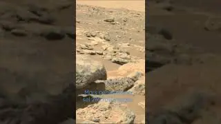 Mars pers&eacute;v&eacute;rance sol 265 raw images