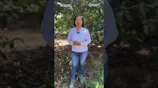💚 &iexcl;Feliz d&iacute;a del Ingeniero peruano! 🌱 Agr&iacute;cola Cayalt&iacute;.