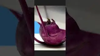 kohlrabi Cutting 🥗🥬 So #satisfying #asmr #shortvideo | 𝐅𝐫𝐮𝐭𝐢𝐪𝐂𝐮𝐭   🍉🍊 #viralshorts