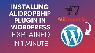 How To Install AliDropship Plugin In WordPress? (2024)