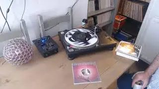 What Is This Thing - Scarlet Party