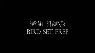 SARAH STRANGE - BIRD SET FREE (Sia Cover)