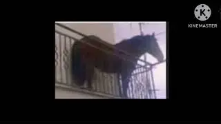 welcome to watchmojo horse extended