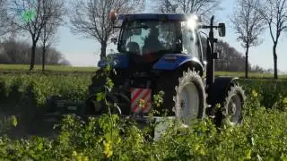 Maaien mosterdzaad op bevroren grond