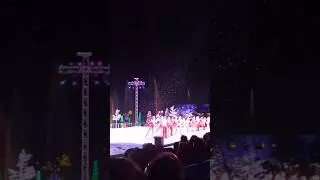 ⛸️Mesmerizing Ice Show✨️🌊❄️ Завораживающее ледовое шоу! #iceskating #seaworld #show #icedance