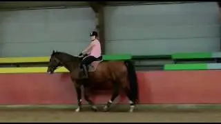 Step zebrany