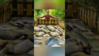 TRADITIONAL FISHING IN THE PEACEFUL RURAL LIFE #fishing #utcountryside #shorts