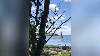 Trebah Garden, Cornwall, UK 🇬🇧