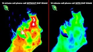 Nature's Frequencies EMF Shield on Today Tonight Adelaide Australia News
