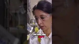 Rock's Secret: A Fiber Network Discovery!