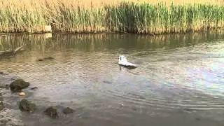 Depron airboat fun