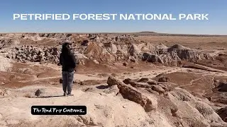 Petrified Forest National Park | The Route 66 Road Trip Continues...