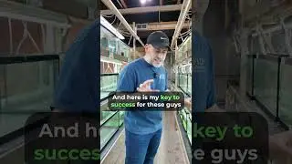 Уход за гороховыми фугу