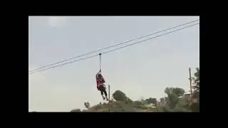 Mount abu adventure: flaying fox