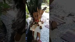 МОЙ ДВОР ВО ФЛОРИДЕ