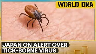Fatal Virus Fears Grow in Japan After First Suspected Animal-to-Human SFTS Death | WION World DNA