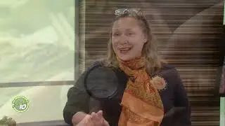 Погрузитесь в историю Мичигана в День археологии