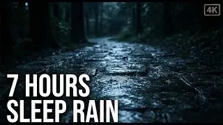 7 Hours Rain on Stone Path 🌧️ Dark Forest Night Ambience for Sleep (No Thunder)