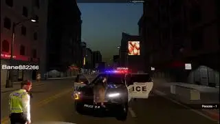 Flashing Lights Police Dog Squad