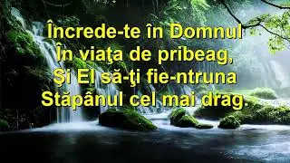 O călător,O suflet Negativ creștin cu versuri