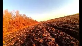 Охота на зайца с камерой SJ 6000
