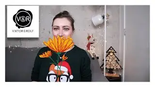 VIKTOR & ROLF // ОБЗОР И РЕЙТИНГ ПОПУЛЯРНЫХ АРОМАТОВ БРЕНДА // РАЗБОР 6-ТИ ПАРФЮМОВ